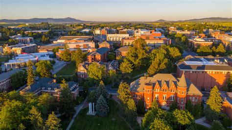 wmsuportal|Washington State University.